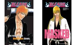  Bleach SOULs. Official Character Book: 9781421520537: Kubo,  Tite: Books