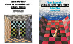 School of Chess Excellence 3: Strategic by Dvoretsky, Mark